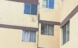 Habitantes temen por su salud tras llegada de murciélagos