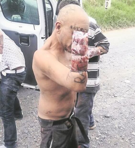 El Foco. Efecto Trump ¡A cavar se ha dicho!