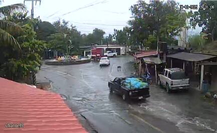 VIDEO: Imágenes revelan el traslado de explosivos que estallaron en Coahuayana, Michoacán; iban cubiertos con plátanos