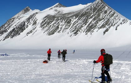Descubren que peces evolucionan más rápido en aguas polares