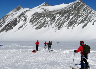 Descubren que peces evolucionan más rápido en aguas polares