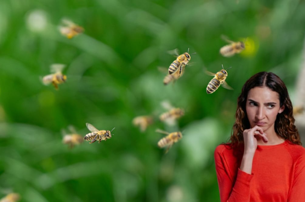 Si detectas un enjambre cerca de casa, lo mejor es llamar a Protección Civil. foto: Pexels