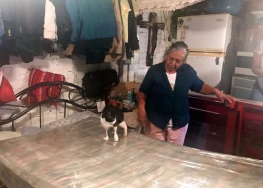 Un "Tinder" para ayudar a afectados del sismo