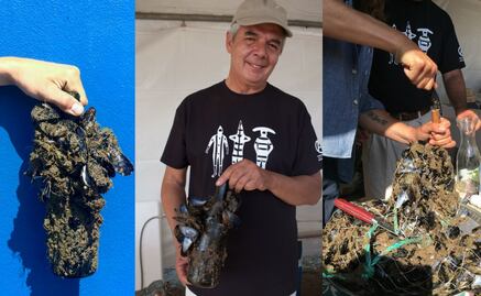 Conoce este vino marino