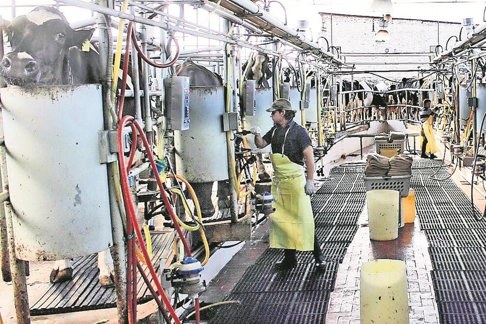 Foto: Archivo/El Universal