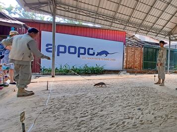 Ratas, las heroínas de Camboya