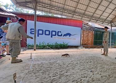 Ratas, las heroínas de Camboya