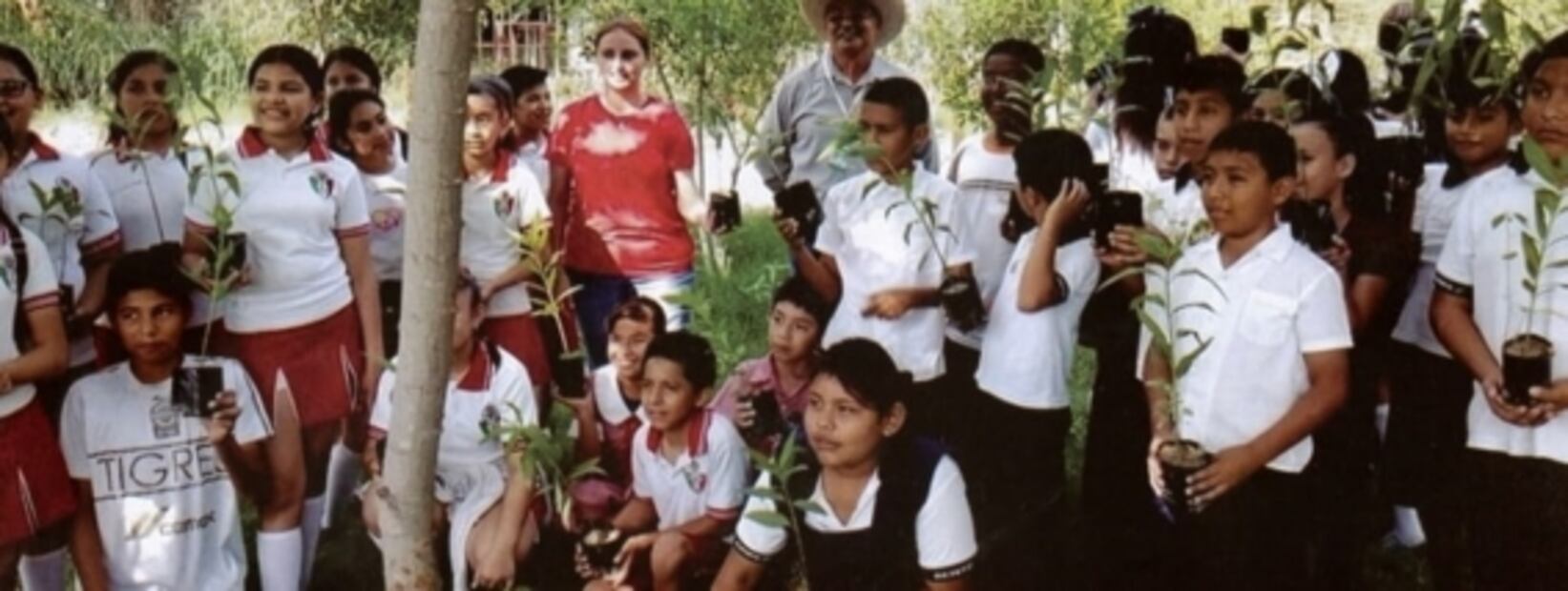Acciones inmediatas y contundentes o la COP26 ¡no servirá de nada!