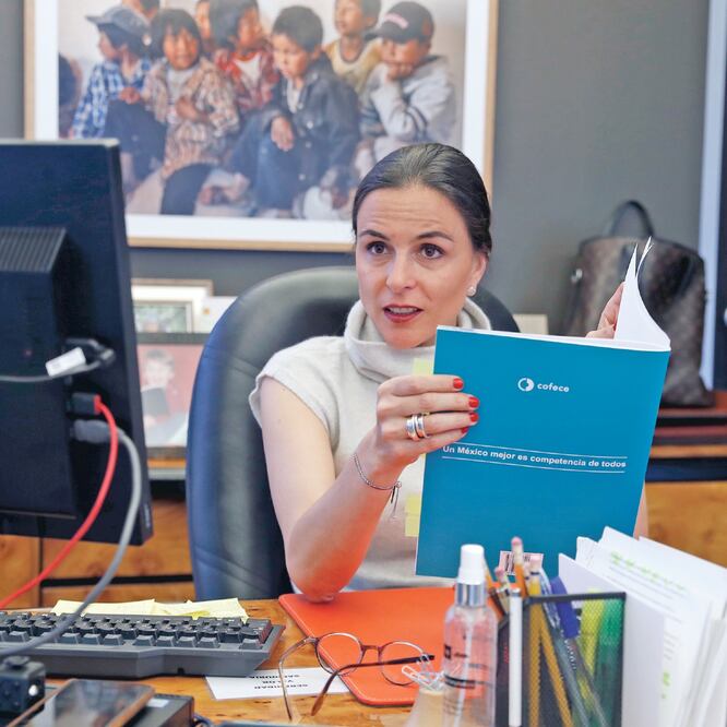 Reclamo. Alejandra Palacios es la actual presidenta de la Cofece, organismo que presentó la controversia contra la ley de remuneraciones de los servidores. Foto: ARCHIVO EL UNIVERSAL