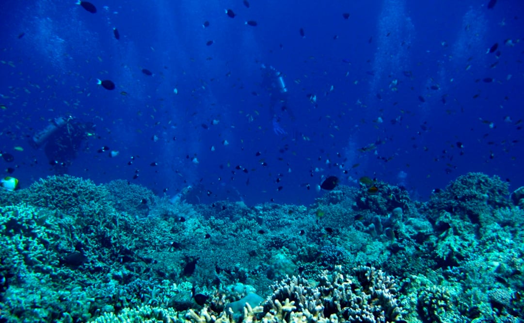 (FOTO: Archivo/EL UNIVERSAL)