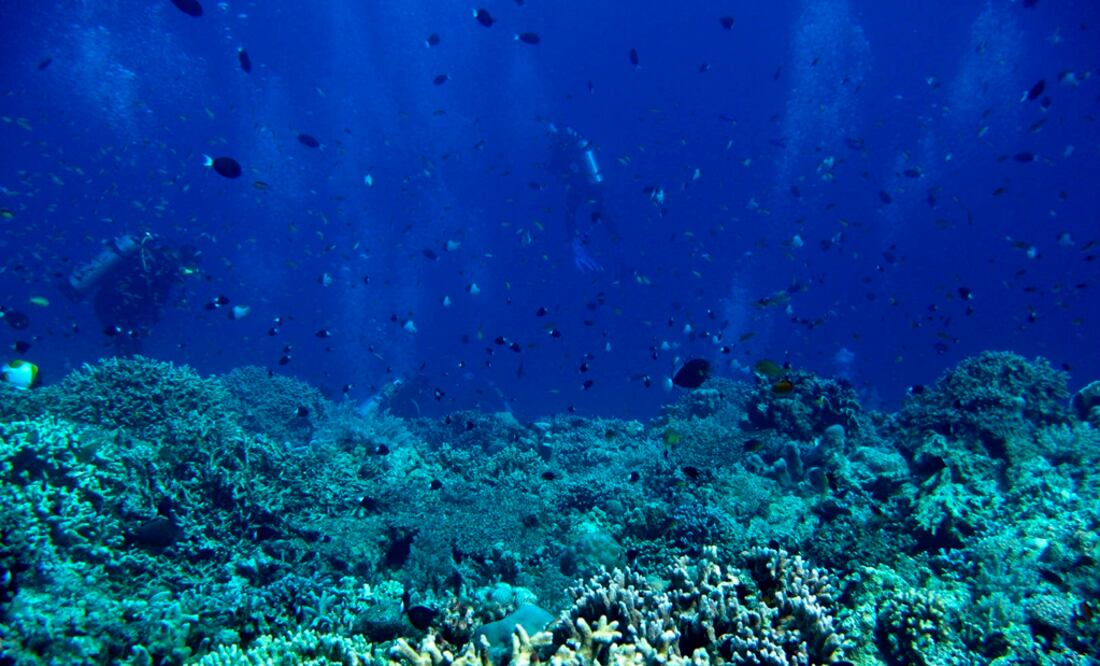 (FOTO: Archivo/EL UNIVERSAL)