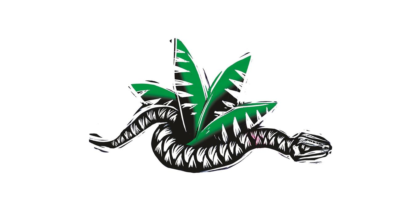 Duarte: chistes malos; pleitos peores