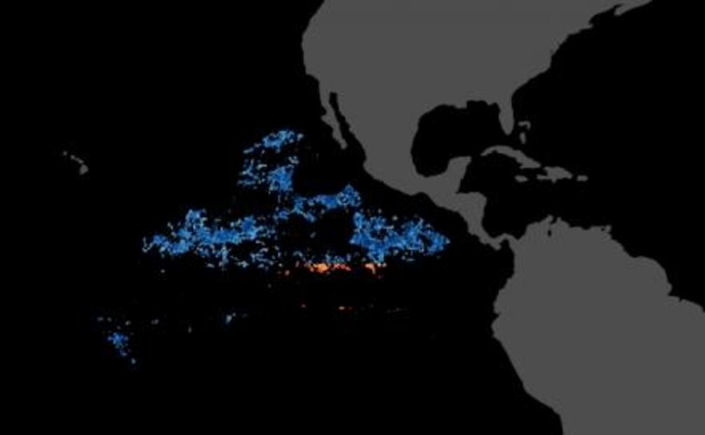 Revelan cuáles países explotan más las aguas internacionales
