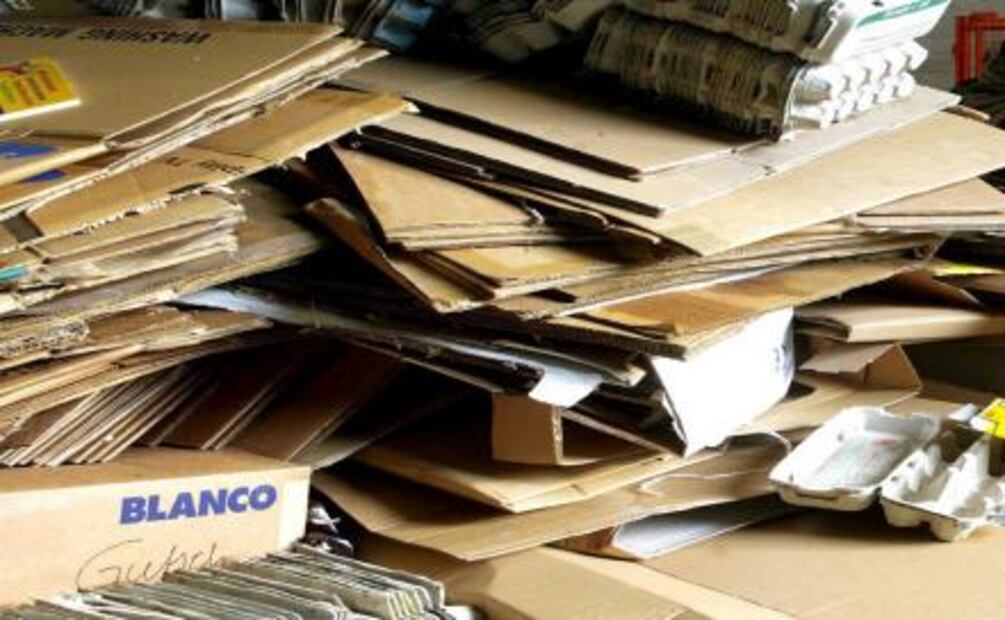 Entérate. ¿Cómo separar la basura en CDMX? 