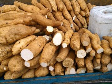 ¿Qué es el chinchayote y cómo se cocina?