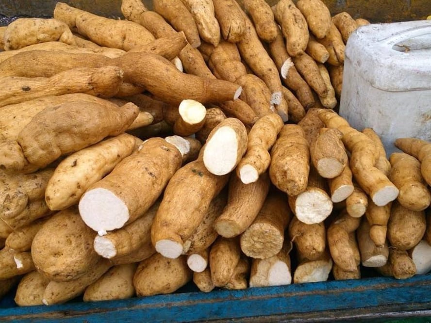 Foto: @lucateromario