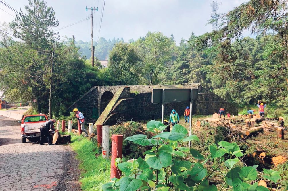 El Programa General de Ordenamiento Ecológico prohíbe la tala de árboles y remoción de cubierta, así como la construcción de infraestructura en la zona baja de la Sierra de las Cruces, en Cuajimalpa. Foto: DIANA VILLAVICENCIO. EL UNIVERSAL