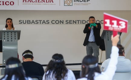 Irregularities at the INDEP