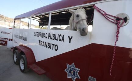 Dictan primera condena por maltrato animal a dos personas en Edomex