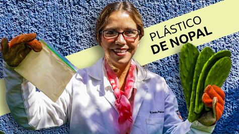 Nopal para reemplazar plástico: el hallazgo de una investigadora mexicana