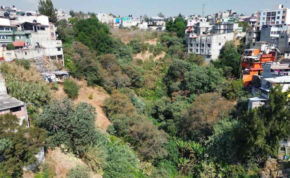 Javier López Casarín es designado integrante del Comité Ejecutivo Regional y Global; reconocen su compromiso con la agenda ambiental.
Foto: Especial.