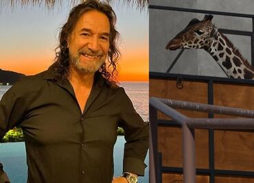 Marco Antonio Solís aplaude el rescate de la jirafa Benito