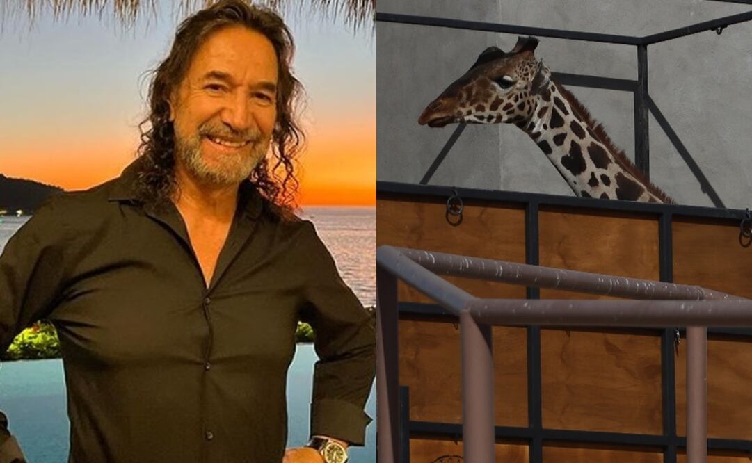 Marco Antonio Solís dio su postura ante el rescate de la Jirafa Benito que llegó a Africam Safari en Puebla. Foto: Instagram oficial del cantante/EFE/Luis Torres.