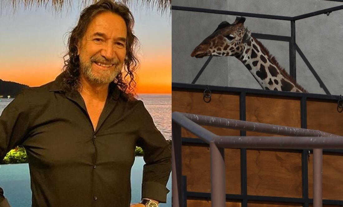 Marco Antonio Solís dio su postura ante el rescate de la Jirafa Benito que llegó a Africam Safari en Puebla. Foto: Instagram oficial del cantante/EFE/Luis Torres.