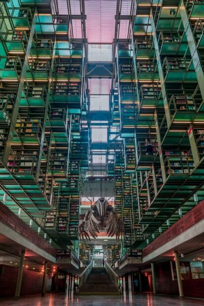 ¿No conoces la Biblioteca Vasconcelos? Te contamos por qué debes visitarla