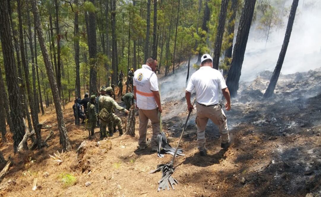 Elementos del Sistema Estatal de PC y de la Comisión Nacional Forestal, realizan labores para combatir el incendio que se registra en la reserva ecológica "El Cabildo Amatal". Foto: Tomada de Twitter de @pcivilchiapas