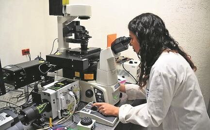 Conacyt, en medio de la polémica por becas