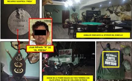 Antílopes y hasta un tigre, esto fue lo que encontraron en cateos a inmuebles de "El Fresa"