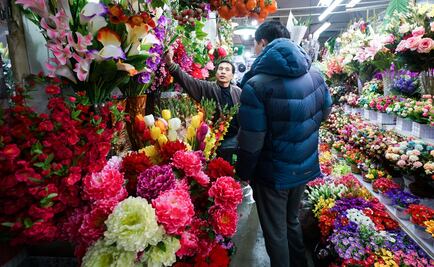 Sagarpa: abasto de rosas por San Valentín, garantizado