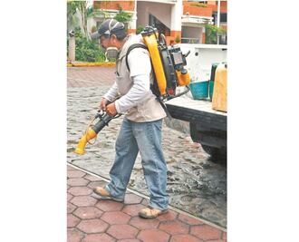 Registran fallecimiento de 6 personas por dengue 