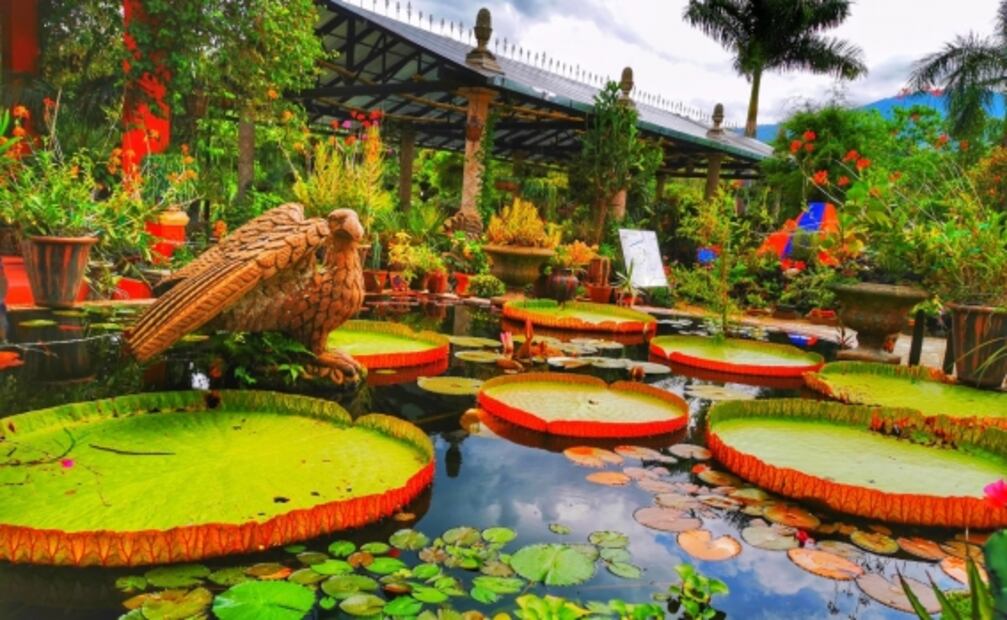 Puerto Vallarta: una ruta de aventura y naturaleza