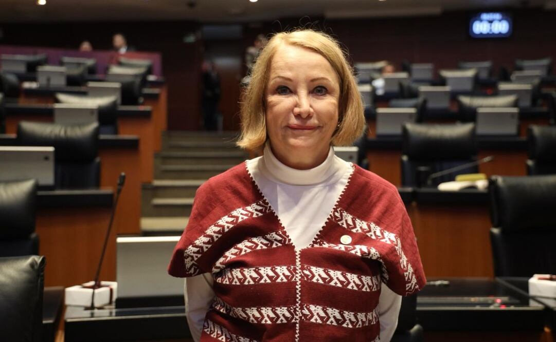 Laura Itzel Castillo, presidenta del Senado. Foto: Especial