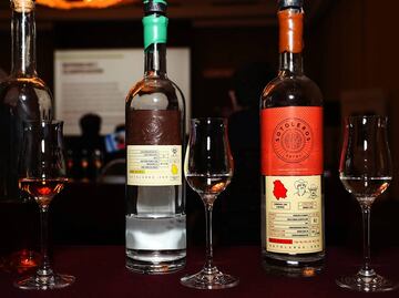 Cinco razones por las que el sotol podría ser el nuevo destilado de moda