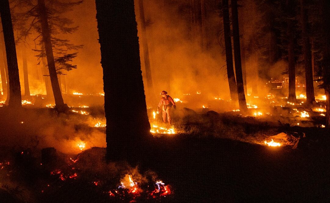 Foto: AP Photo/Noah Berger
