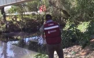Investigan descargas de agua contaminada en el río de Tepeji del Río, Hidalgo; alcaldía podría ser sancionada