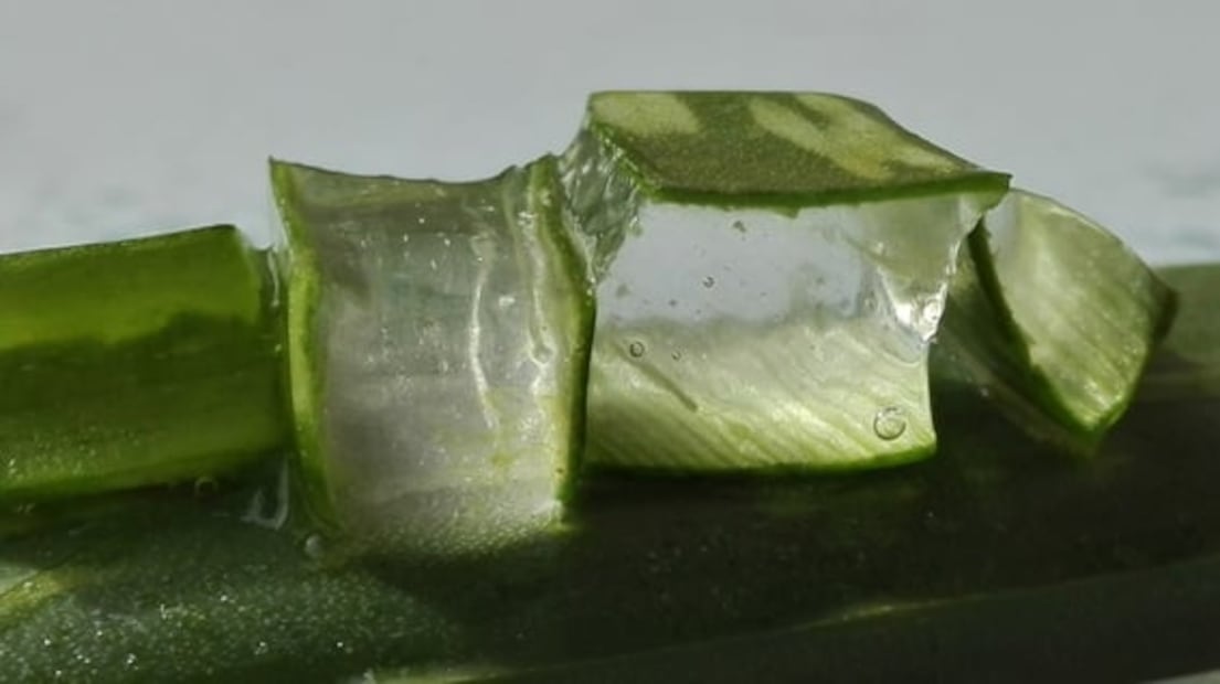 7 usos del gel de aloe vera para la piel y el pelo