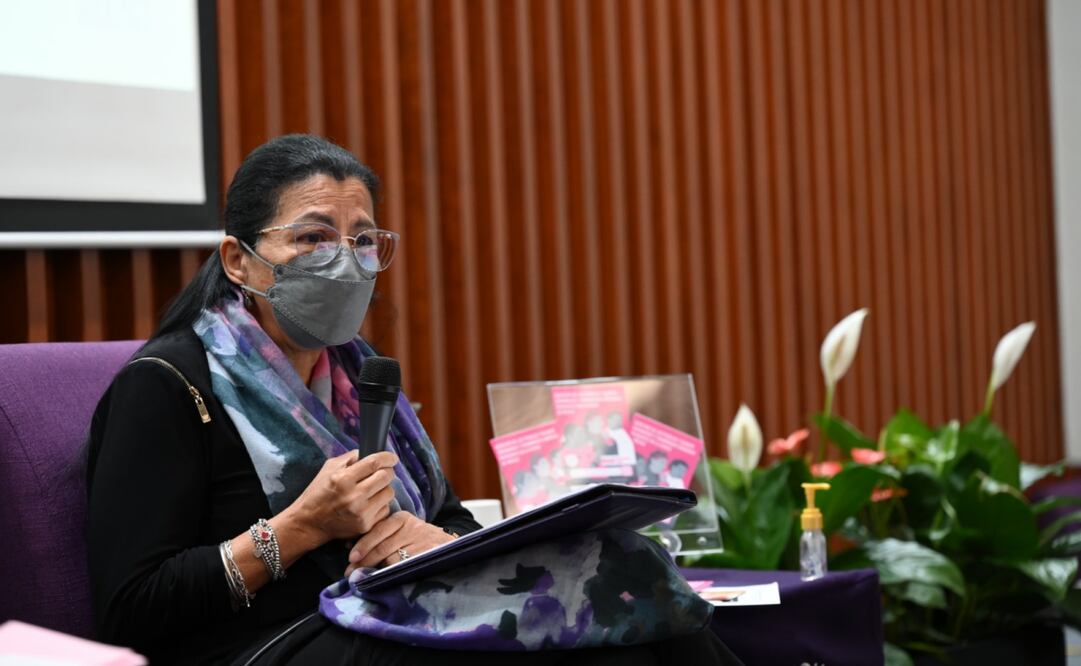 Este miércoles 16 de octubre, se presentaron una serie de materiales digitales e impresos sobre derechos humanos en lenguas indígenas. (16/10/2024). Foto: Especiales