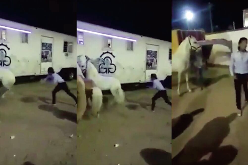 En un video subido a redes sociales se observa al rejoneador Emiliano Gamero cuando golpea a su caballo (TOMADA DE YOUTUBE)