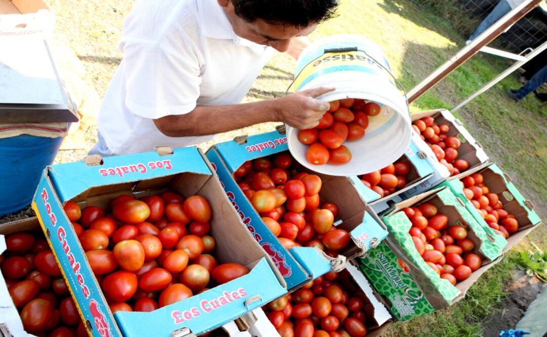 Jitomate y aguacate, lo más caro de la semana