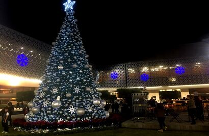 Diputados encienden árbol de Navidad en San Lázaro