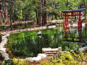 10 lugares imprescindibles para conocer Coyoacán