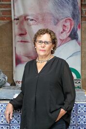 "Beneficia más al PRD una alianza con Morena"