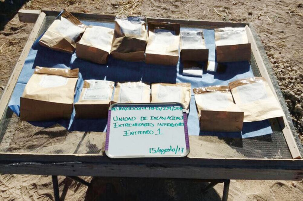 Entre los restos hay cráneos, fémures, quijadas, dientes y otras piezas, que fueron colocadas en bolsas y enviadas a la Ciudad de México para que el equipo forense tome muestras genéticas. (CORTESÍA)