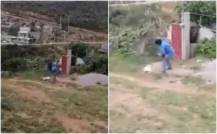 Se comía mis pollitos y se aventó a mi hija: sujeto que mató a machetazos a perrita "Masha"