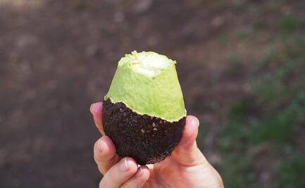 VIDEO: Nuevo truco para cortar un aguacate