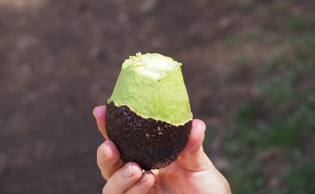 Y también evita que te lastimes con el cuchillo al cortarlo / Foto: Pixabay